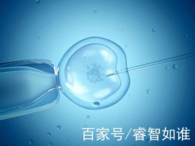 陈若晴 副院长